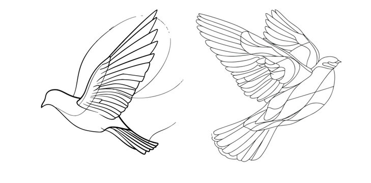 White dove in one continuous line drawing.