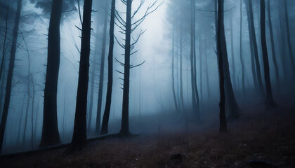 Naklejka premium foggy forest in a mystical atmosphere