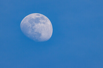 Moon in the blue sky, closeup of photo with soft focus