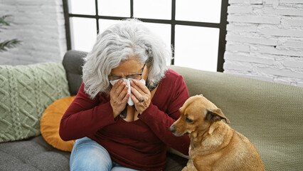 A senior woman with grey hair, blowing her nose on a couch beside her attentive dog inside a cozy...