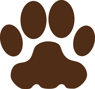 Vector of Animal Footprint on white background
