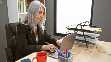Serious and elegant grey-haired, middle age woman hard at work, concentrating on her laptop at her...