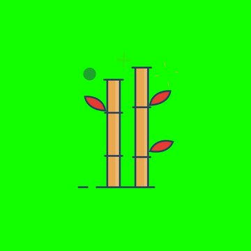 Bamboo: animated vector illustration on green screen