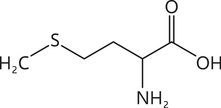 Vitamin U, or methylmethioninesulfonium chloride formula, derivative of methionine, consists of carbon, hydrogen, sulfur, and chlorine atoms arranged in a specific molecular structure, vector scheme
