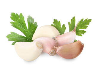 Garlic cloves and green parsley isolated on white