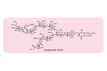 Molecular structure diagram of Ganglioside GQ1b. pink Scientific vector illustration.