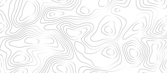 Panorama view gradient multicolor wave curve lines banner background design. Vector illustration. wave Line topography map contour background .Abstract Topographic map background with wave line.