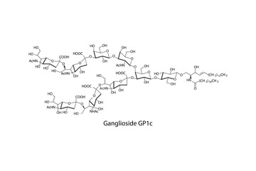 Molecular structure diagram of Ganglioside GP1c white Scientific vector illustration.