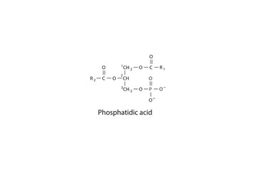 Molecular schematic structure of Phosphatidic acid. White Scientific vector illustration.