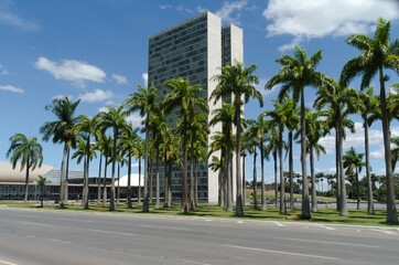 Obraz premium Palm trees and building at Brasilia, capital federal of Brazil (Esplanada dos ministerios).