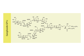 Molecular structure diagram of Ganglioside GP1c yellow Scientific vector illustration.