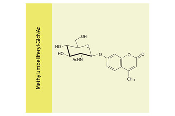 Molecular structure diagram of Methylumbelliferyl-GlcNAc yellow Scientific vector illustration.