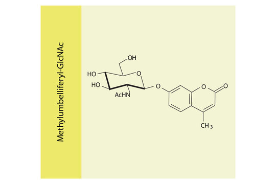 Molecular structure diagram of Methylumbelliferyl-GlcNAc yellow Scientific vector illustration.
