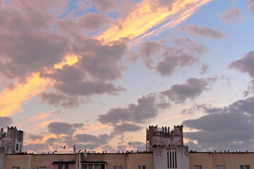 View of the sky before sunrise in the city with birds on the roof of a house