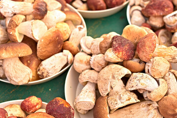 Porcini mushrooms just collected all in the sand at the farmers market
