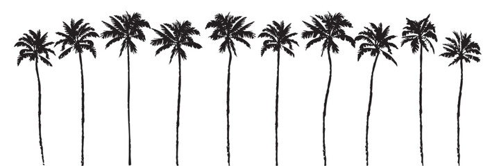 Black palm tree set vector illustration isolated on white background silhouette art black white stock illustration logo icon png. tropical, beach, landscape, pattern, paradise, coconut background