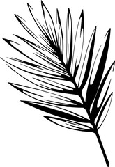 Black silhouette of palm leaf isolated on white background. Abstract illustration.