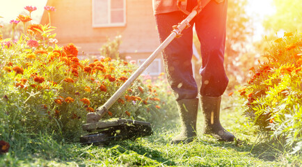 A gardener with a grass trimmer mows the green grass