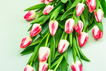 Obraz premium Bouquet of fresh pink tulips on green background. Festive concept for Mother's Day or Valentines Day