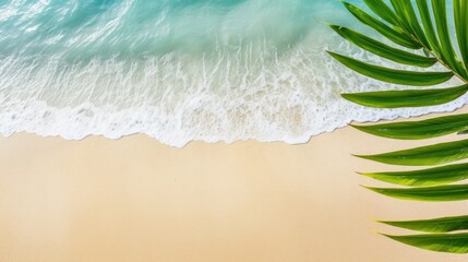 Sunny sand beach with water and green palm leaf from above, empty background