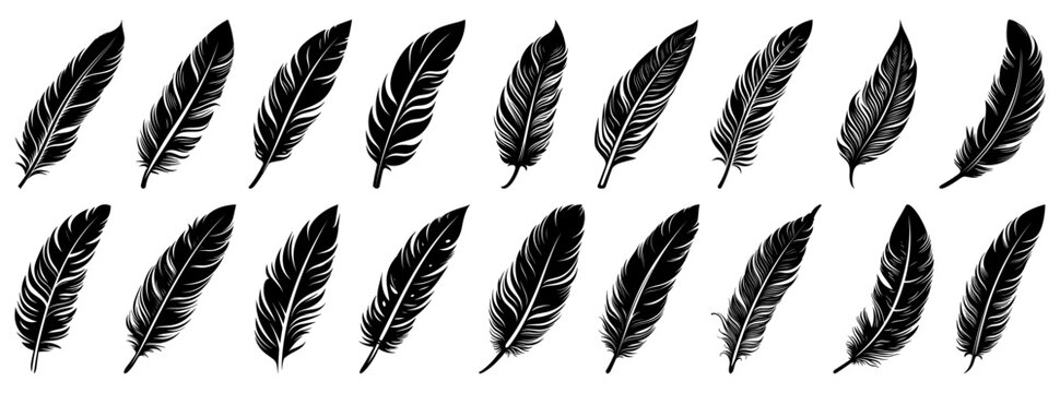 Feather black icon. Feather icons set. Various feathers.