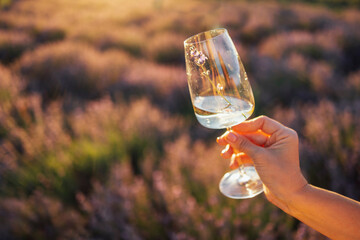 hand holding a glass of champagne against the background of bushes with lavender