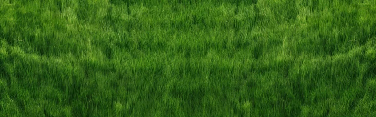 Wandcirkels aluminium Blurry Photo of Field of Grass in Natural Setting © pham