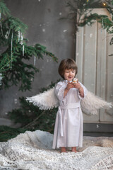 boy in white with wings in Christmas studio