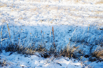 Snow-covered dry yellow grass and cold blue shadows on a spring field on a sunny day. Autumn, spring or winter landscape.