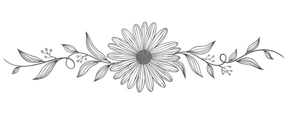 Outline Floral Botany. flower vector drawings. Black and white floral line art on transparent backgrounds. Hand Drawn Botanical Illustrations.Vector.
