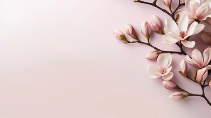 Foto op Aluminium magnolia flowers branches on the background for copy space top view floral arrangement © ТаtyanaGG