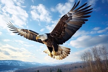 An eagle spreads its wings and flies in the blue sky, paramount light, prokaryotic, 32K, high resolution