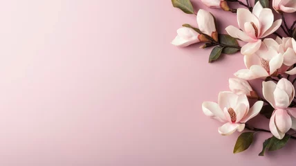 Poster magnolia flowers branches on a background for copy space top view floral arrangement on a pink pastel background © ТаtyanaGG