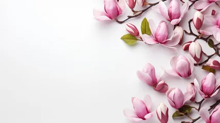 Poster magnolia flowers branches on a background for copy space top view floral arrangement on a white background © ТаtyanaGG