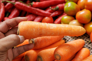 A man in the market chooses fresh vegetables, a buyer chooses ripe carrots on a store shelf. buying fresh vegetables for a healthy diet.