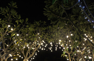 tree decoration lights