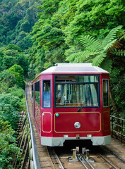 Naklejka premium train in the mountains
