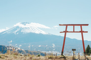 Fuji Mountain with Torii Japan