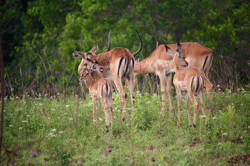 Diani Beach, Kenya