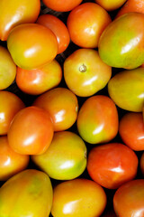 Tomatoes background. Group of tomatoes.