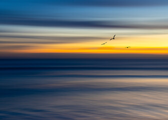 Captivating sunset over ocean with birds in flight, perfect for travel inspiration, peaceful decor, and mindfulness apps.