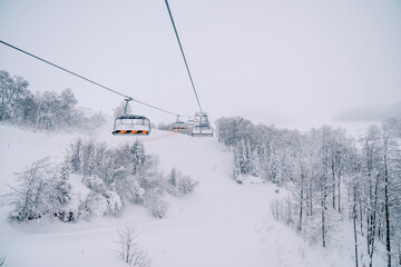 Colorful chairlift on a snow-covered mountain above a coniferous forest