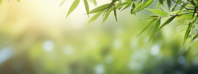 Green bamboo and leaves. background bamboo, growing.nature. - obrazy, fototapety, plakaty