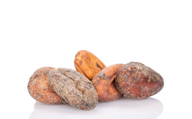 Several dry cocoa beans, macro, isolated on white background.
