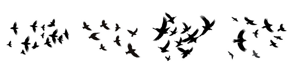 A set of Silhouette of a flock of birds flying together on a transparent background PNG