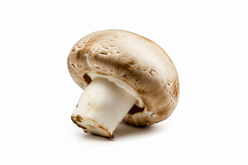 champignon mushroom isolated on white