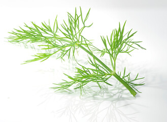 Dill, Dillzweig, Kräuter, gesund, Meeresfrüchte,