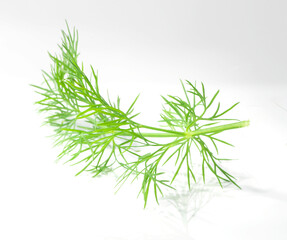 Dill, Kräuter, Dillzweig, Gewürz, isoliert, 