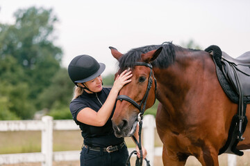 Woman with a black helmet stroking a beautiful chestnut horse head, close up shot. Human and animal...