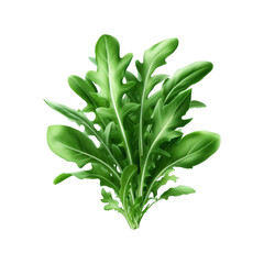 Fresh green roquette arugula png isolated on transparent background Ai generative.